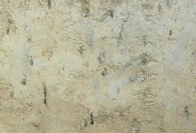 Loess Pararendzina , © Landesamt für Geologie und Bergbau Rheinland-Pfalz Loess Pararendzina , © Landesamt für Geologie und Bergbau Rheinland-Pfalz