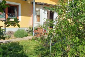 Garten Garten