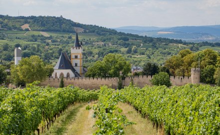 staedtetripp-rh-ingelheim-rotweinfest staedtetripp-rh-ingelheim-rotweinfest