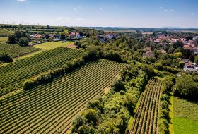 Dexheimer Doktor Dexheimer Doktor