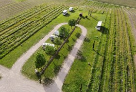 Reisemobilstellplatz Weingut Gehring © Weingut Gehring Reisemobilstellplatz Weingut Gehring © Weingut Gehring