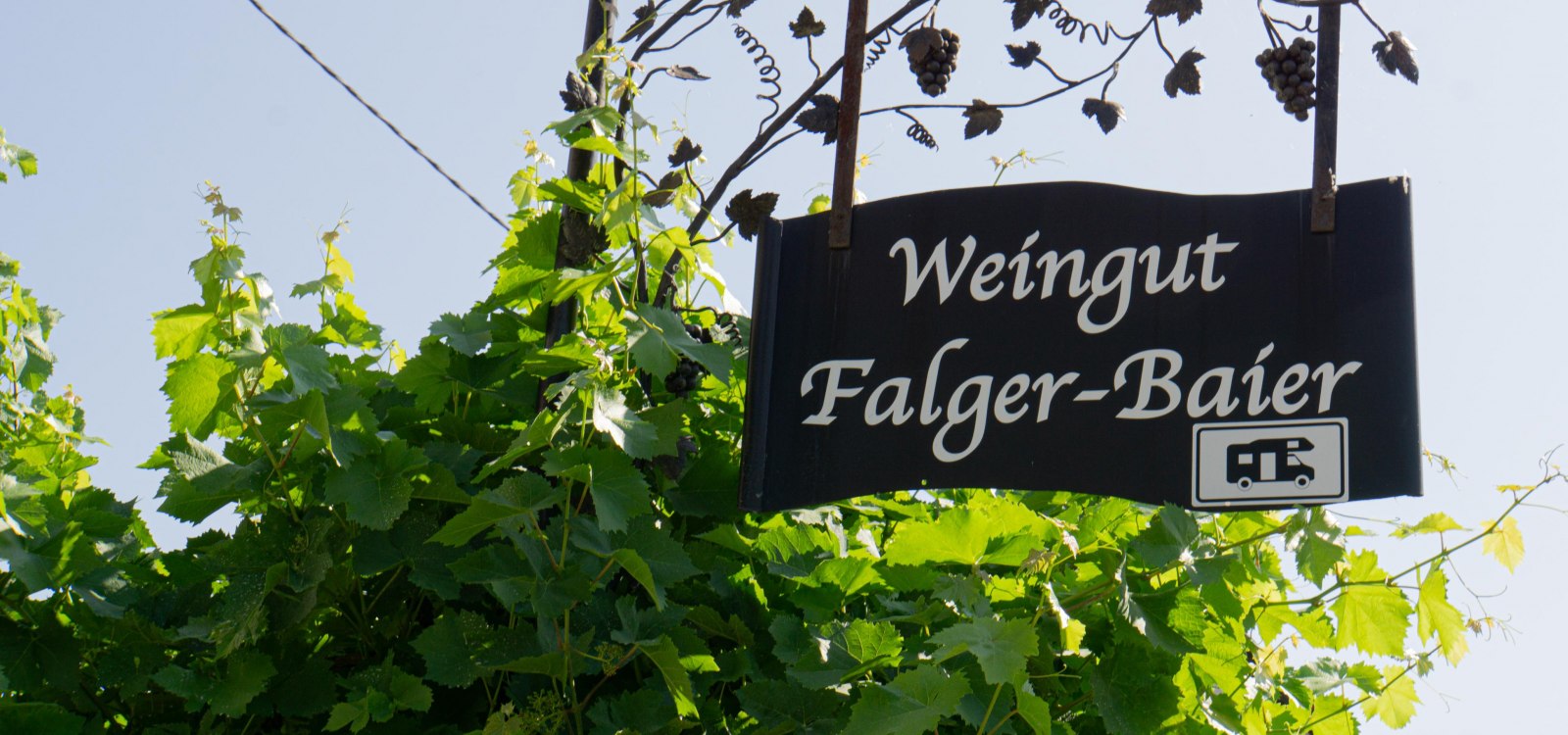 Reisemobilstellplatz Weinhaus Baier, Gimbsheim Reisemobilstellplatz Weinhaus Baier, Gimbsheim