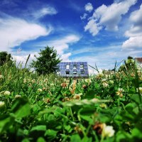 Blick aus dem Garten aufs Gartenhaus Blick aus dem Garten aufs Gartenhaus