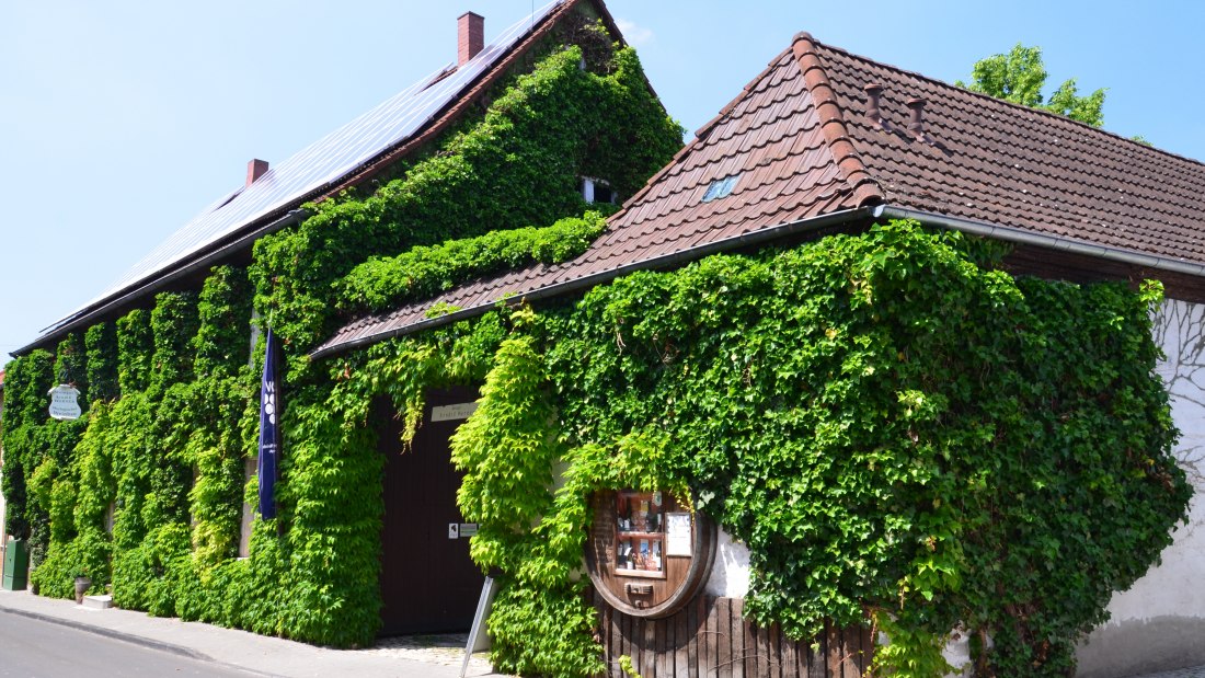 © Ökoweingut Arndt F. Werner © Ökoweingut Arndt F. Werner