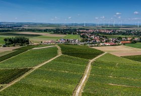 Armsheimer Goldstückchen Armsheimer Goldstückchen