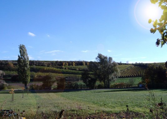 Grittmann © Weingut Grittmann Grittmann © Weingut Grittmann