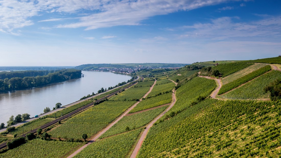 Niersteiner Pettenthal Niersteiner Pettenthal