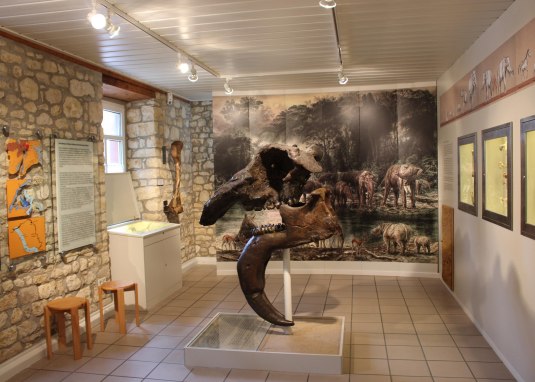 Dinotheriummuseum Dinotheriummuseum