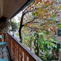 Balkon mit Blick in den Innhof, Ferienwohnung 31a © Galerie unterm Maulbeerbaum Balkon mit Blick in den Innhof, Ferienwohnung 31a © Galerie unterm Maulbeerbaum