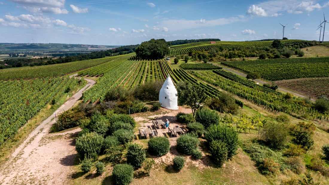 Flonheimer Rotenpfad, © Rheinhessenwein e.V./Torsten Silz Flonheimer Rotenpfad, © Rheinhessenwein e.V./Torsten Silz