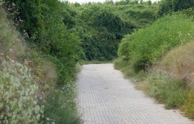 Hohl © Michael Jung Hohl © Michael Jung