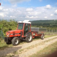 Arbeit in den Weinbergen © Weitzel Arbeit in den Weinbergen © Weitzel