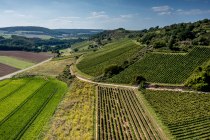 Siefersheimer Heerkretz Siefersheimer Heerkretz