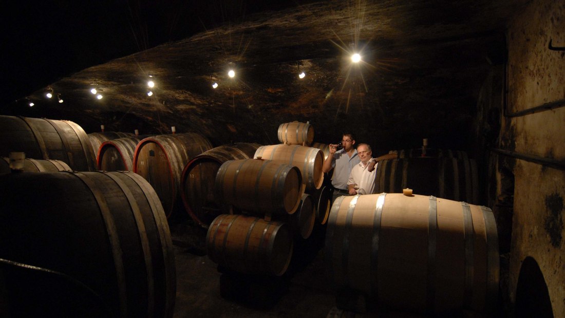 Weingut Eller_Keller 2, © Weingut Eller Weingut Eller_Keller 2, © Weingut Eller