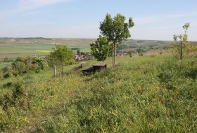 Grünes Klassenzimmer © Angelika Friedrich Grünes Klassenzimmer © Angelika Friedrich