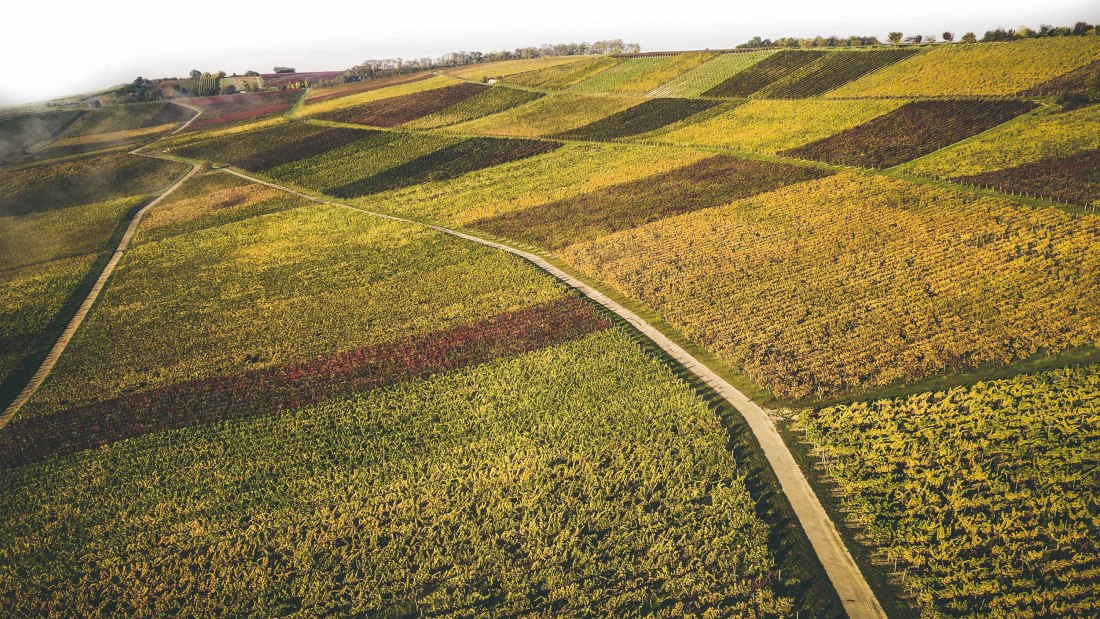 schittler6, © Weingut Schittler & Becker schittler6, © Weingut Schittler & Becker