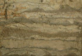 Loess sand rigosol Loess sand rigosol