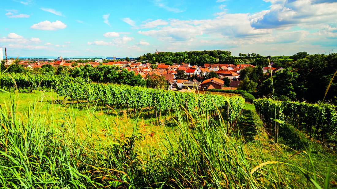 Weingut Steinmühle_Ort, © Weingut Steinmühle Weingut Steinmühle_Ort, © Weingut Steinmühle