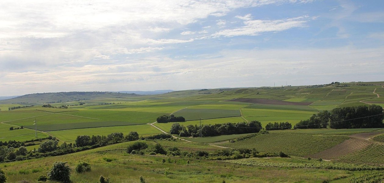 Quellgebiet Michelstal, © Angelika Friedrich Quellgebiet Michelstal, © Angelika Friedrich