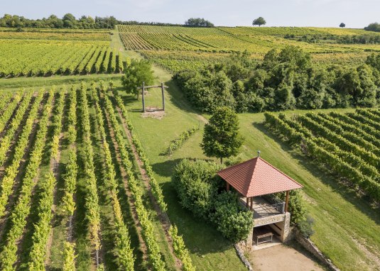Aussichten von oben © Verbandsgemeinde Gau-Algesheim Aussichten von oben © Verbandsgemeinde Gau-Algesheim