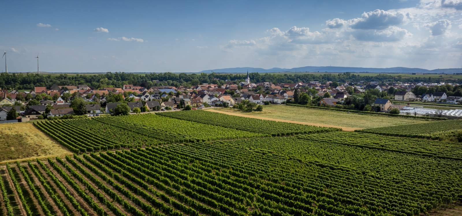 Heppenheimer Schneckenberg, © Torsten Silz Heppenheimer Schneckenberg, © Torsten Silz