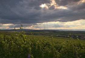 <p>(c) Achim Meurer</p>
© Achim Meurer <p>(c) Achim Meurer</p>
© Achim Meurer