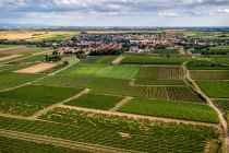 Westhofener Steingrube Westhofener Steingrube