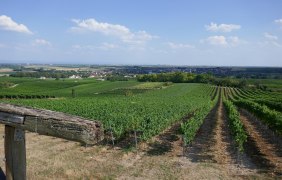 Kreuz Blick © Michael Jung Kreuz Blick © Michael Jung