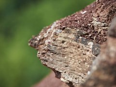 rotes Gestein rotes Gestein