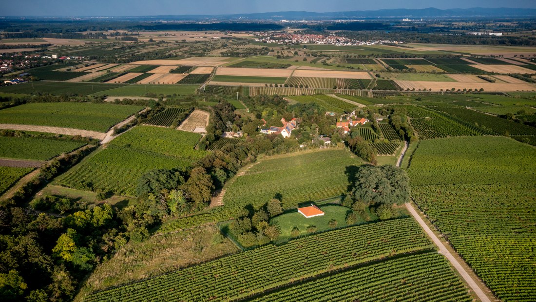 Alsheimer Fischerpfad Alsheimer Fischerpfad