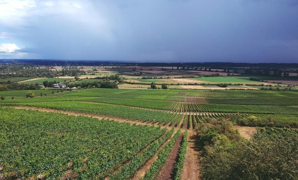 © Weingut Stenner © Weingut Stenner
