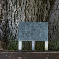 Kastanie Info © Verbandsgemeinde Gau-Algesheim Kastanie Info © Verbandsgemeinde Gau-Algesheim