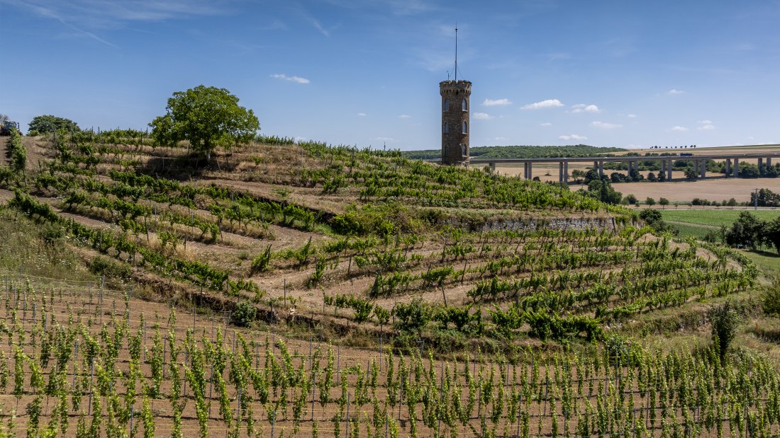 Weinheimer Heiliger Blutberg, © Torsten Silz Weinheimer Heiliger Blutberg, © Torsten Silz