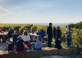 Wein Picknick Hiwweltour Aulheimer Tal Wein Picknick Hiwweltour Aulheimer Tal