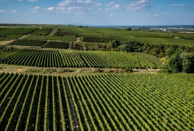 Alsheimer Frühmesse Alsheimer Frühmesse