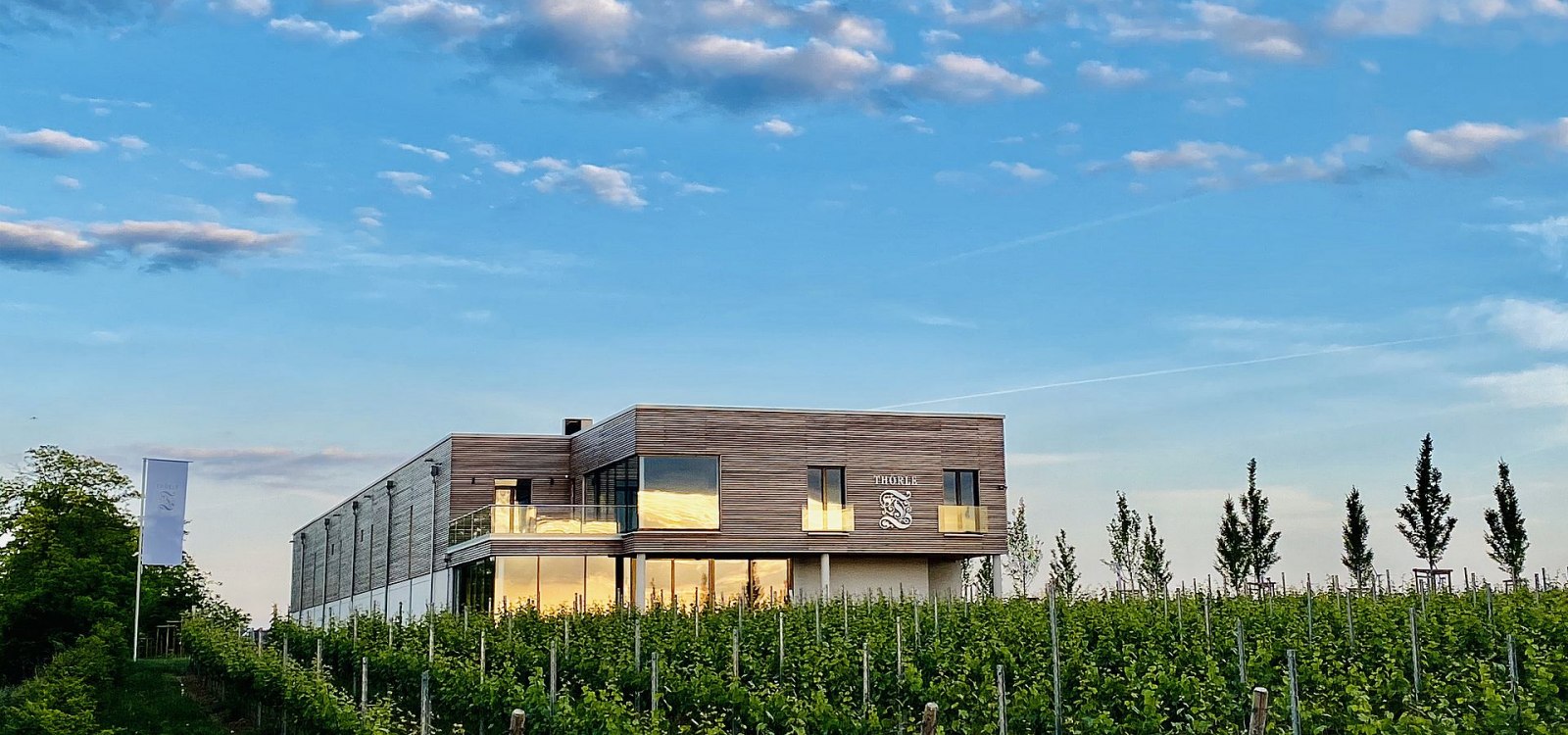 Weingut Thörle_Gebäude, © Weingut Thörle Weingut Thörle_Gebäude, © Weingut Thörle