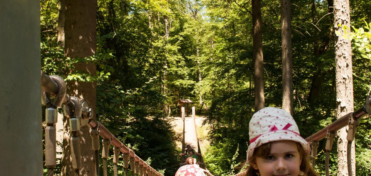 Hängebrücke Binger Wald, © Bingen Tourismus & Kongress GmbH Hängebrücke Binger Wald, © Bingen Tourismus & Kongress GmbH