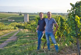 Weingut Georg Gustav Huff_Winzer im Weinberg © Weingut Georg Gustav Huff Weingut Georg Gustav Huff_Winzer im Weinberg © Weingut Georg Gustav Huff