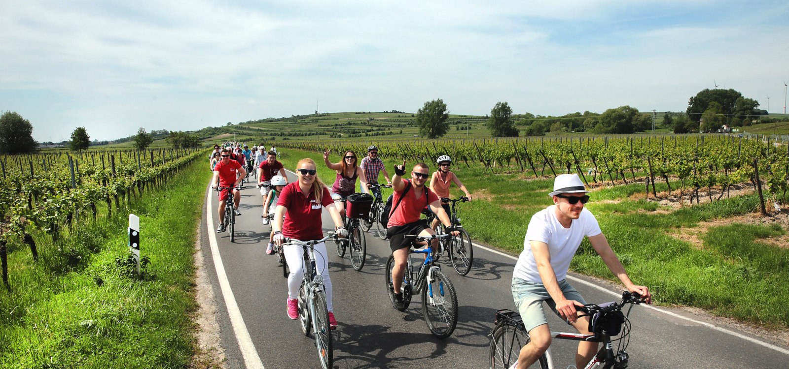 Een groep fietsers rijdt tijdens het evenement „Rheinradeln“ over een weg tussen wijngaarden. De route tussen Worms en Oppenheim loopt door het wijnlandschap van Rheinhessen., © inmedia.info Meerdere fietsers rijden over een geasfalteerde weg door wijngaarden tijdens Rheinradeln tussen Worms en Oppenheim. Aan beide kanten van de weg staan rijen wijnstokken, met heuvels, bomen en een open lucht op de achtergrond.