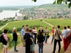 Sommelier Tour Rheinterrasse Sommelier Tour Rheinterrasse