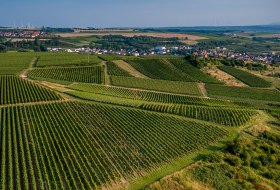 Sulzheimer Schildberg Sulzheimer Schildberg