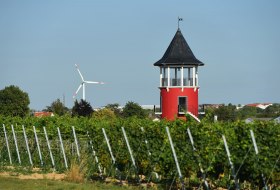 Weinbergsturm © Carsten Costard Weinbergsturm © Carsten Costard