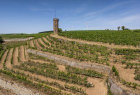 Weinheimer Heiliger Blutberg © Torsten Silz Weinheimer Heiliger Blutberg © Torsten Silz