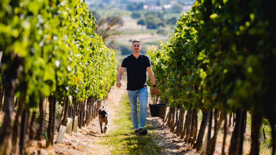 Weingut Balzhäuser_Winzer, © Weingut Balzhäuser Weingut Balzhäuser_Winzer, © Weingut Balzhäuser