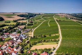 Appenheimer Eselspfad Appenheimer Eselspfad