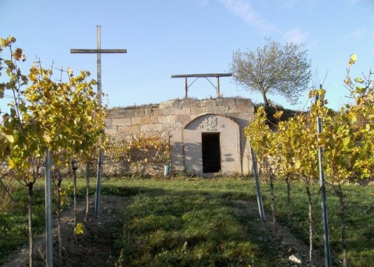 Galle Blick 2 © Michael Jung Galle Blick 2 © Michael Jung