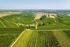 Donnersbergblick © Rheinhessen Touristik GmbH Donnersbergblick © Rheinhessen Touristik GmbH