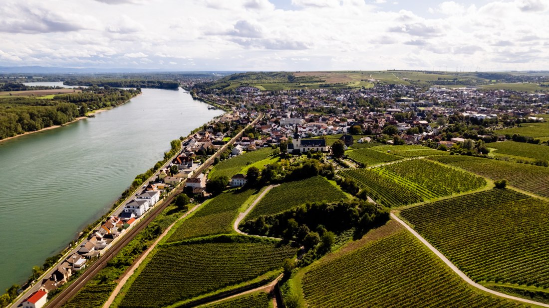 Nierstein_Weinberg Nierstein_Weinberg
