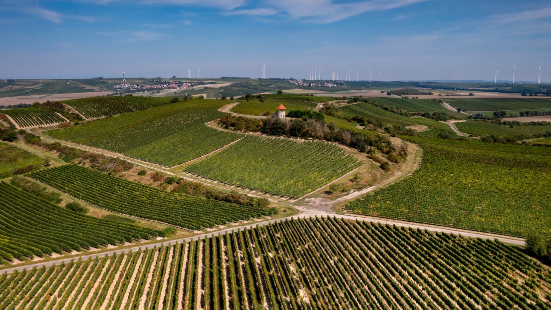 Albiger Hundskopf Albiger Hundskopf