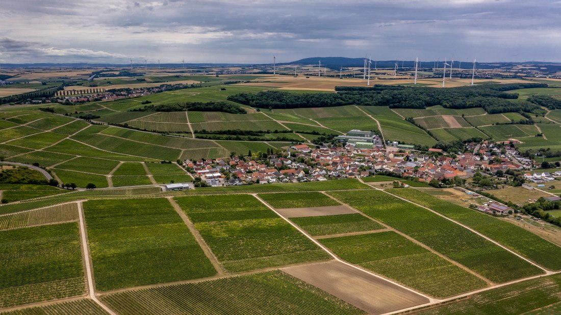 Lonsheimer Mandelberg Lonsheimer Mandelberg